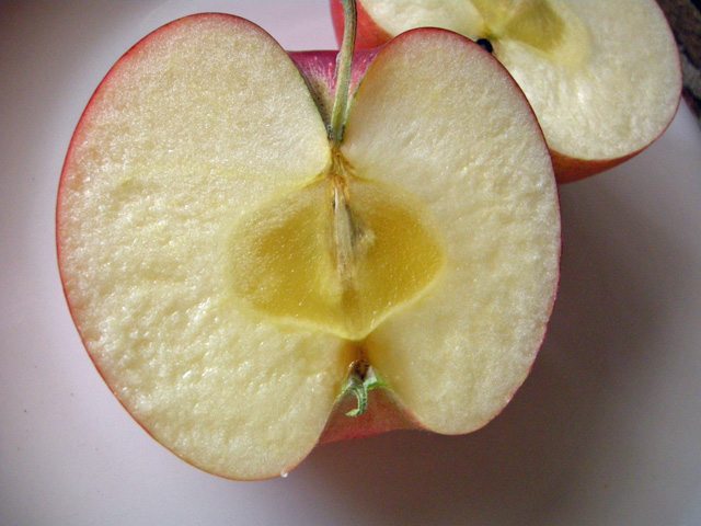 減農薬栽培 ☆訳あり 家庭用☆ 伝統のりんご 紅玉 10kg - ファームかずと Farm Kazuto